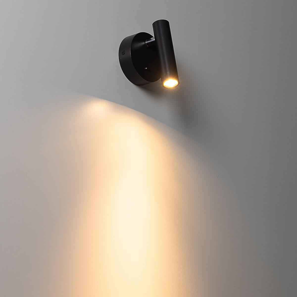 Спот Citilux Dekart CL704101