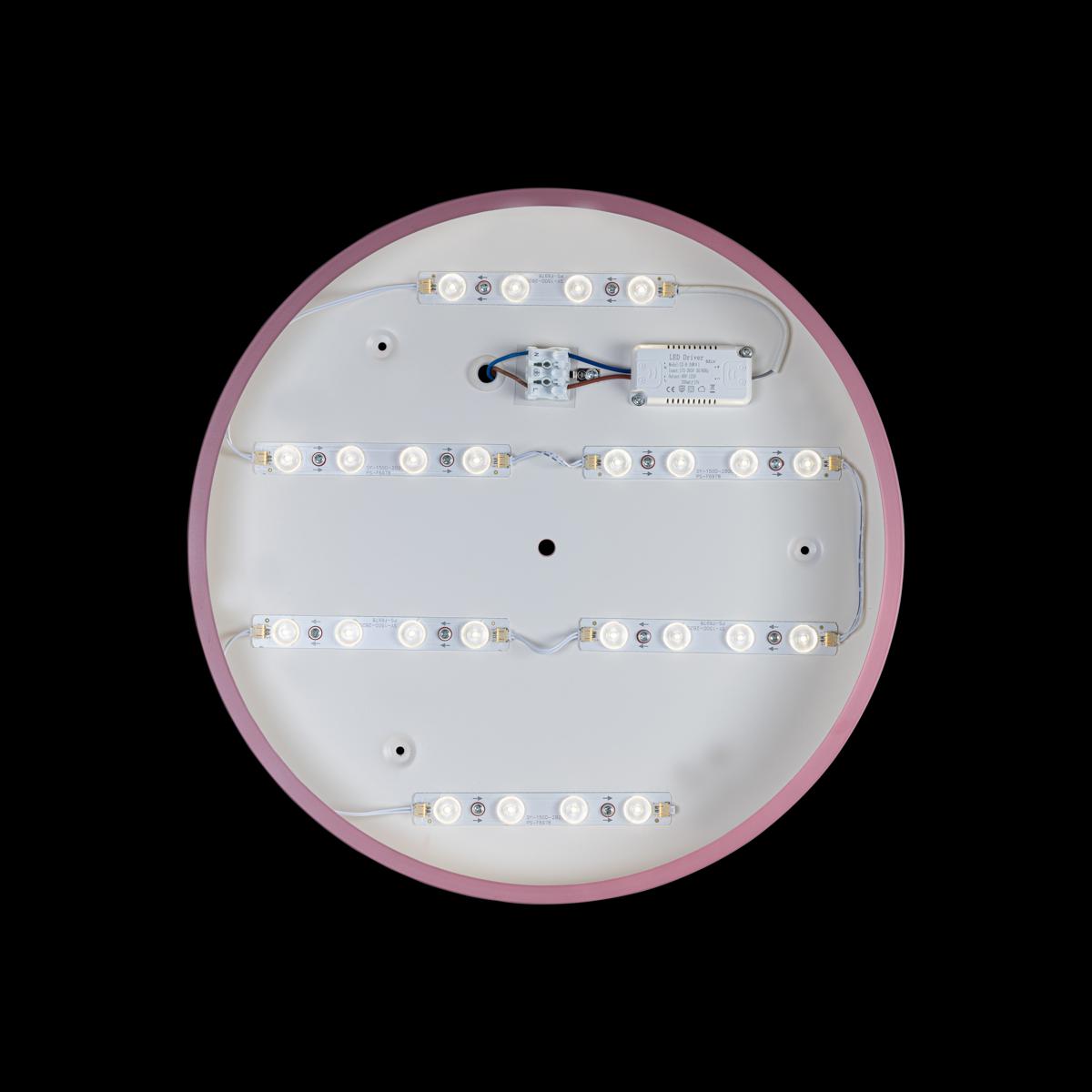 Потолочный светильник Loft IT AXEL 10002/24 Pink