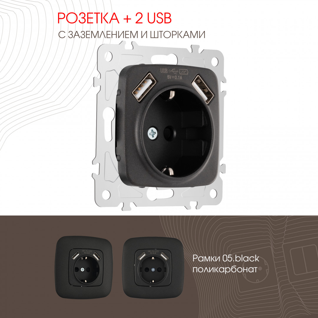 Розетка с заземлением, шторками + 2 USB Arte Milano 205.47-1.black
