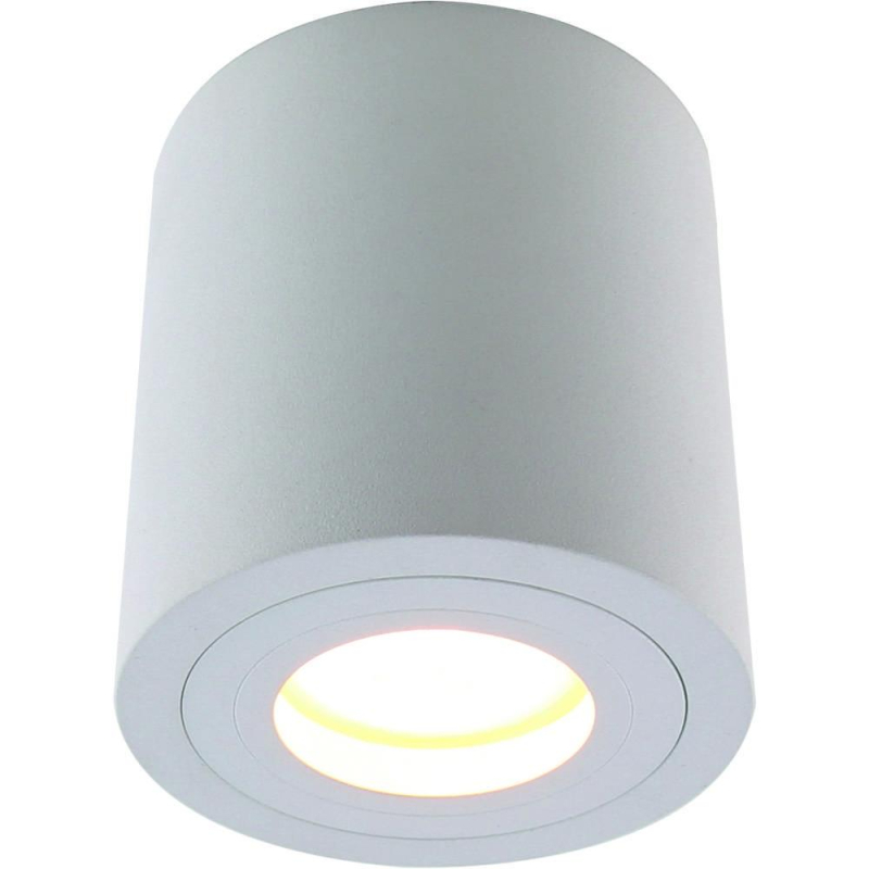 Потолочный светильник Divinare Galopin 1460/03 PL-1 Потолочный светильник Divinare Galopin 1460/03 PL-1
