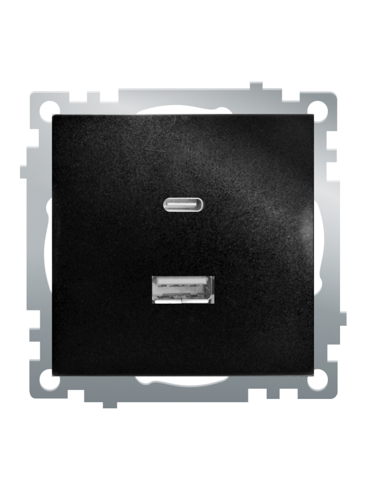 Розетка 2-местная USB + type C Stekker Катрин GLS10-7116-05 50055