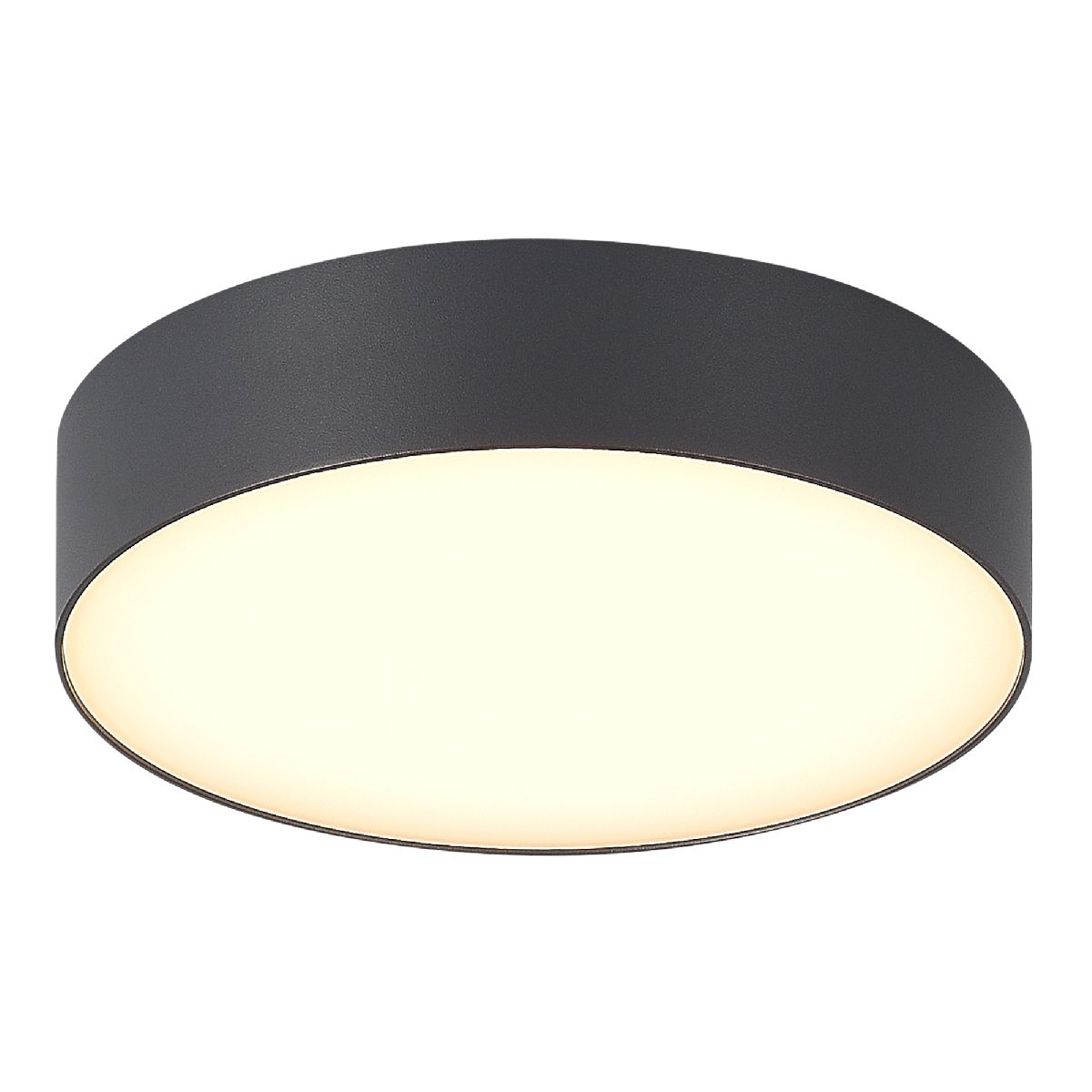 Уличный потолочный светильник ST Luce Sun SL9518.702.01 Уличный потолочный светильник ST Luce Sun SL9518.702.01