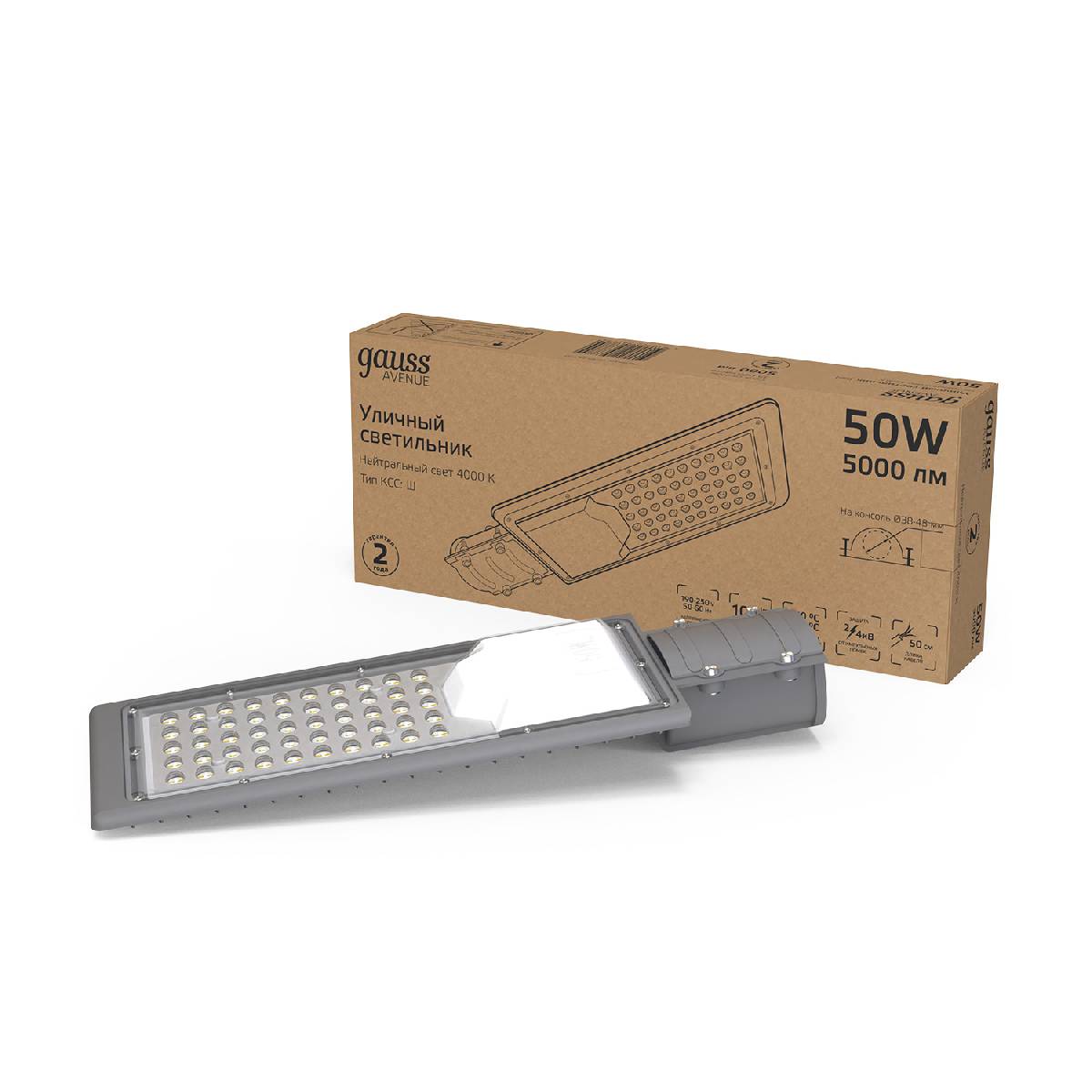 Уличный консольный светильник Gauss Avenue 629534250 Уличный консольный светильник Gauss Avenue 629534250