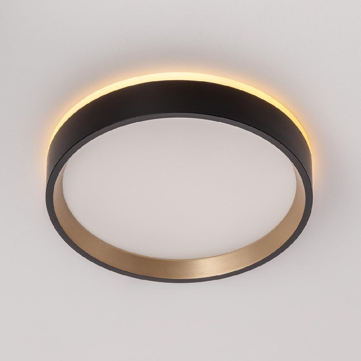 Настенно-потолочный светильник Citilux Etalon CL750181