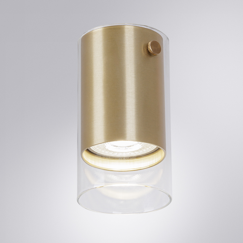 Накладной светильник Arte Lamp Lazio A5365PL-1SG Накладной светильник Arte Lamp Lazio A5365PL-1SG