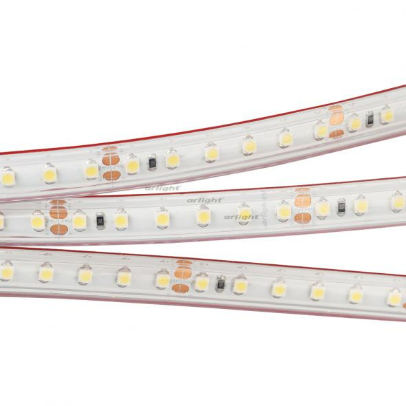 Светодиодная лента Arlight RTW 2-5000PS 24V White6000 2x (3528, 600 LED, LUX) 022321