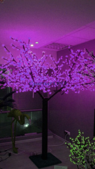 Дерево светодиодное "Вишня" Фиолетовое, 2688LED, 3.6х3м,  222W, 220V